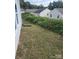 Overgrown backyard with sparse grass and overgrown plant life at 2440 Mint Thistle Ct, Charlotte, NC 28269