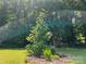 Inviting front yard featuring a manicured lawn, green trees and shrubs, and decorative rock edging at 33611 Mann Rd, Albemarle, NC 28001