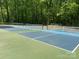 Outdoor tennis courts in a community setting at 1501 Briarfield Dr, Charlotte, NC 28205