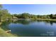 Picturesque pond with a fountain, showcasing a community amenity that provides a serene and natural setting at 1002 Christobal Ct, Indian Trail, NC 28079