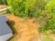 Picture of an expansive backyard featuring mature trees that provide privacy and shade at 1336 W Rebound Rd, Indian Land, SC 29720