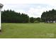 Expansive backyard with mature trees and a lush lawn at 234 Olin Loop, Olin, NC 28660