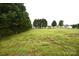 Large backyard area with trees at 234 Olin Loop, Olin, NC 28660