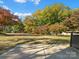Large, grassy backyard with mature trees and a patio area for outdoor seating at 2701 N Sharon Amity Rd, Charlotte, NC 28205