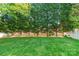 Expansive backyard featuring a well-maintained lawn and mature trees, ideal for outdoor activities at 8428 Westmoreland Lake Dr, Cornelius, NC 28031