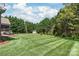 Expansive backyard featuring lush green grass, a storage shed, and mature trees, ideal for outdoor activities at 115 Ladybug Ct, Statesville, NC 28625