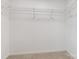 Walk-in closet featuring carpet and wire shelving at 12954 Sickles Dr, Charlotte, NC 28273