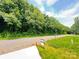 Street view of a property with a 'For Sale' sign and a tree-lined view at 159 Hallman St, Cherryville, NC 28021