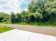 Street view of property offering lush trees, and a view of a tree-lined lot at 159 Hallman St, Cherryville, NC 28021