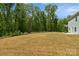 A spacious backyard, partially surrounded by mature trees at 197 Park View Dr, Stanfield, NC 28163