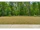 Level land ready for building, enveloped by lush greenery with trees for privacy and natural beauty at 197 Park View Dr, Stanfield, NC 28163