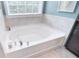 Close up on the soaking tub in the beautiful main bathroom with bright natural light at 2014 Burton Point Ct, Waxhaw, NC 28173