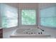 Large soaking tub surrounded by windows offering views of the outside at 209 Tinkham Trl, Cramerton, NC 28032