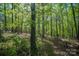 This home is situated on a heavily wooded lot with mature trees at 211 W Tennessee Ave, Bessemer City, NC 28016