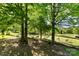 Serene backyard featuring a hammock, grazing sheep, and lush green surroundings at 459 Cramerton Rd, Gastonia, NC 28056