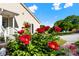 Beautiful home exterior surrounded by vibrant red flowers and lush greenery at 459 Cramerton Rd, Gastonia, NC 28056
