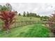 Beautifully maintained backyard with lush green grass, mature trees, and an iron fence at 4991 Looking Glass Trl, Denver, NC 28037