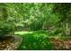 Lush backyard featuring a well-maintained lawn and picturesque stone path at 511 Pembroke Ln, Waxhaw, NC 28173