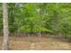 Natural backyard view with a tree line, fence, and small stepping stone path leading into the woods at 16519 Flintrock Falls Ln, Charlotte, NC 28278