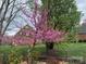 Front yard tree with pink blooms, mature landscaping, and fence at 205 Commodore Ct, Belmont, NC 28012