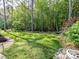 A lush green backyard offers privacy and serene views, surrounded by tall trees and manicured landscaping at 3519 Weddington Oaks Dr, Matthews, NC 28104