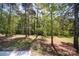 Backyard featuring large trees and ample natural light at 600 Burns St, Wadesboro, NC 28170