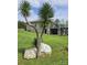 View of backyard, showcasing a large grass area with interesting trees and greenery at 9535 Potter Rd, Matthews, NC 28104