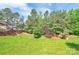 An outdoor area showcases lush trees, a grassy incline, and a vibrant blue sky above at 1032 Eagles Nest Ln, Indian Land, SC 29707