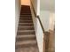 Carpeted staircase with white risers and a stained wood handrail at 3019 Glenn Hope Way, Matthews, NC 28104