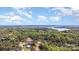 Breathtaking aerial view showcasing a stunning lake surrounded by lush trees and picturesque landscape at 4237 Island Fox Ln, Denver, NC 28037