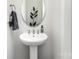 Stylish powder room features a pedestal sink, oval mirror, and modern decor at 4237 Island Fox Ln, Denver, NC 28037