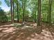 Secluded backyard with mature trees, offering a serene view of the home's sunroom and lush surroundings at 5935 Winburn Ln, Charlotte, NC 28226