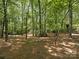 Lush backyard with mature trees creating a peaceful ambiance, complemented by bird feeders and a rustic birdhouse at 5935 Winburn Ln, Charlotte, NC 28226