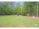 Spacious, green backyard with a fire pit area, surrounded by trees, offers ample outdoor space at 812 Timber Creek Dr, York, SC 29745