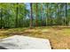 Large, wooded lot has plenty of space for recreation and entertaining at 164 Hillndale Ln, Statesville, NC 28677