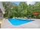 Inviting swimming pool and backyard with a lush tree line providing privacy at 206 Oxford Place Dr, Fort Mill, SC 29715
