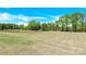 Large backyard featuring a serene pond and a backdrop of mature trees at 207 Aspire Cir # 46, Wingate, NC 28174
