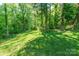 Expansive green backyard with lush trees at 2202 Chickasaw Loop, Rock Hill, SC 29732