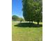 View of a grassy lot with large shade trees in the front yard at 28344 Canton Rd, Albemarle, NC 28001