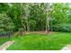 Lush backyard with mature trees, green grass, and a small retaining wall bordering a wooded area at 365 Delburg St, Davidson, NC 28036