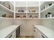 Well-organized pantry with ample shelving and counter space, providing plenty of storage at 365 Delburg St, Davidson, NC 28036