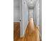 Inviting hallway features gleaming hardwood floors connecting different areas of the home at 4009 Dunwoody Dr, Charlotte, NC 28215