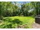 Grassy backyard area with surrounding trees at 543 Hampton St, Rock Hill, SC 29730