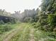 Overgrown vegetation surrounding a large sunny backyard at 6000 S Main St, Salisbury, NC 28147