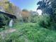 View of a chain link fence, grass, and overgrown vegetation in the backyard at 6000 S Main St, Salisbury, NC 28147