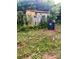 Backyard with overgrown fence and foliage surrounding a weathered shed at 6000 S Main St, Salisbury, NC 28147