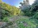 An overgrown backyard filled with trees and greenery provides a private and natural setting at 6000 S Main St, Salisbury, NC 28147