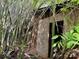 Exterior view of a building surrounded by bamboo and foliage at 6000 S Main St, Salisbury, NC 28147
