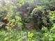 Exterior view of a building overgrown with greenery and lush foliage at 6000 S Main St, Salisbury, NC 28147