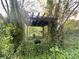 View of overgrown yard with covered pergola and overgrown vegetation at 6000 S Main St, Salisbury, NC 28147